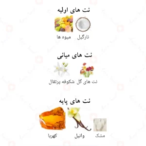 Afnan_Ornament_Pour_Femme_4_افنان_اورنامنت_پور_فم