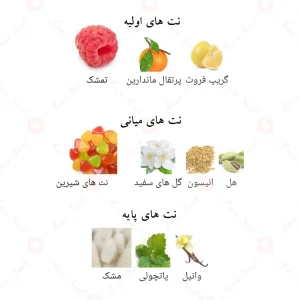Afnan_Ornament_Purple_Allure_افنان_اورنامنت_پرپل_الور