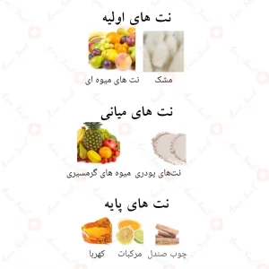Afnan_Souvenir_Desert_Rose_افنان_سوونیر_دیزت_رز