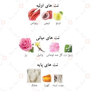 Afnan_Souvenir_Floral_Bouquet_افنان_سوونیر_فلورال_بوکت