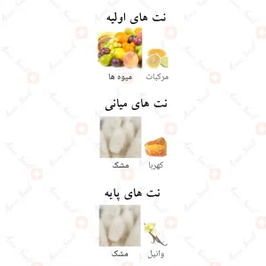 Afnan_Supremacy_Purple_افنان_سوپرماسی_پرپل