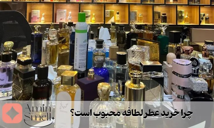 چرا عطر لطافه محبوب است
