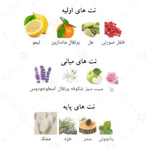 ادوپرفیوم 9 ای ام افنان 9am Afnan