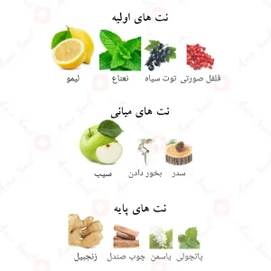 ادوپرفیوم_9_ای_ام_دایو_افنان_9am_Dive_Afnan