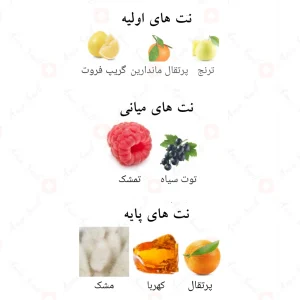 ادوپرفیوم_9_ای_ام_پور_فم_افنان_9am_Pour_Femme_Afnan