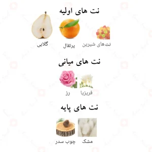 بررسی ساختار رایحه ادکلن آزور رویال احمد المغربی