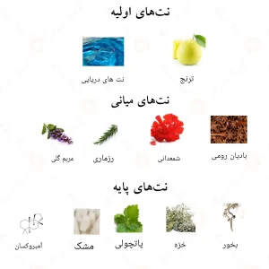 رایحه‌ها و ترکیب ساختاری ادکلن آکوا عود