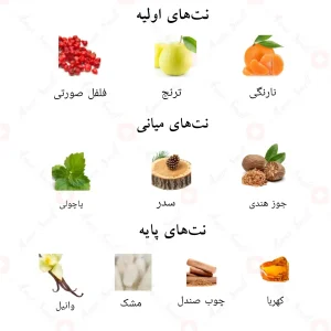 ترکیبات و نتهای بویایی ادکلن امیری