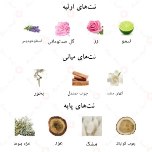 رایحه ادکلن اکستاسی