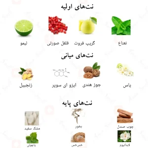 ادکلن بلو بای احمد المغربی
