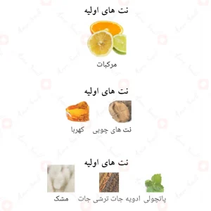 ادوپرفیوم_تراثی_بلو_افنان_Turathi_Blue_Afnan