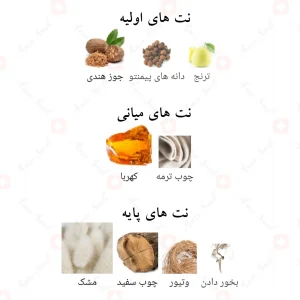 ادوپرفیوم_تریبیوت_بلو_افنان_Tribute_Blue_Afnan