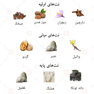 نت‌های بویایی ادکلن جود