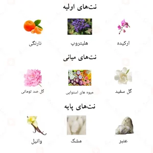 ترکیب رایحه‌های ادکلن حیانا احمد المغربی