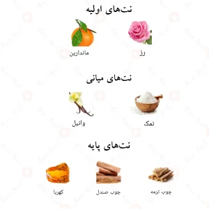 نت‌های بویایی ادکلن روبی