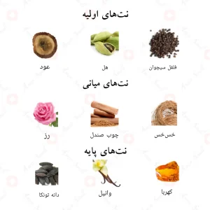 ترکیب رایحه‌های ادکلن رویال وود احمد المغربی