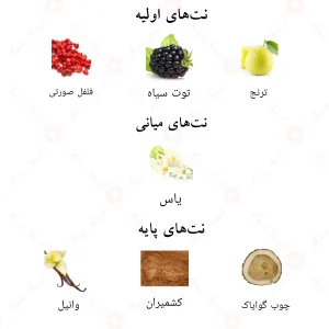 ترکیب رایحه‌های ادکلن رویال وود احمد المغربی