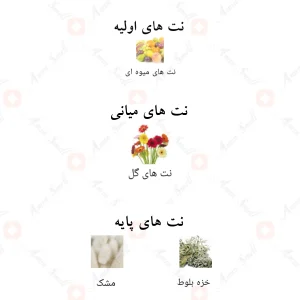 رایحه‌های زلنی