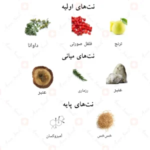 نت‌های بویایی ادکلن سیندر احمد المغربی