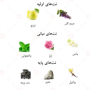 نت‌های بویایی ادکلن شیوخ احمد المغربی