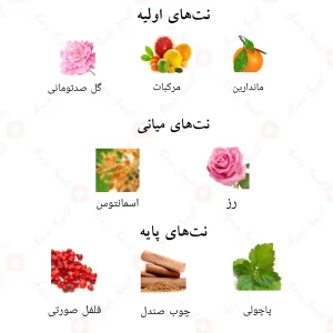 ترکیب رایحه‌های ادکلن مستیک پینک