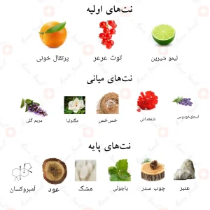 ترکیب رایحههای ادکلن معانی احمد المغربی