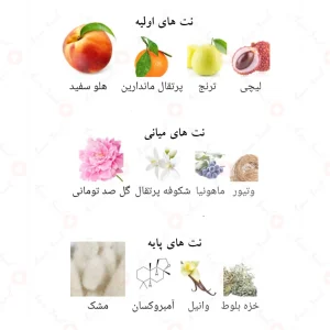 ادوپرفیوم_میستیک_بوکت_افنان_Mystique_Bouquet_Afnan