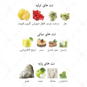 ادوپرفیوم_هیستوریک_اولمدا_افنان_Historic_Olmeda_Afnan