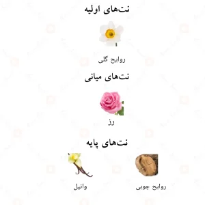 نت‌های بویایی ادکلن وعد احمد المغربی
