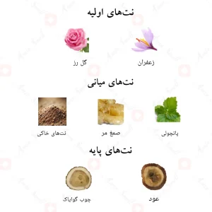 ترکیب رایحه‌های ادکلن پاچولی احمد المغربی