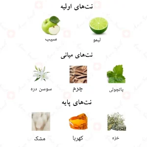 ترکیب رایحه‌های ادکلن کوتور نویر