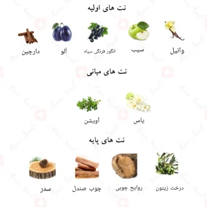 ادکلن الایو ناو الحمبرا Alhambra Alive now