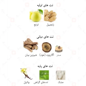 ادکلن اینفینی عود جویو الحمبرا  Alhambra Infini Oud Joyous