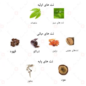 ادکلن بلک وود الحمبرا Alhambra Black Wood