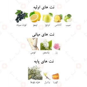 ادکلن د آفیشیال کلاب الحمبرا Alhambra The Official Club Intens