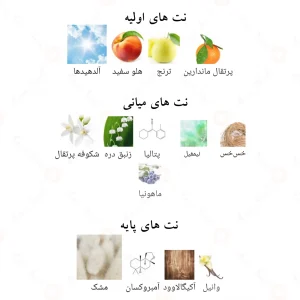 ادکلن دلیله بلانک الحمبرا Alhambra Delilah Blanc