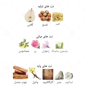 ادکلن دکادنت دریم الحمبرا Alhambra Decadent Dream