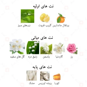 ادکلن زنانه ورونا الحمبرا Alhambra verona