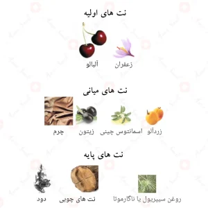 ادکلن فلامینگ الکسیر الحمبرا Alhambra Flaming Elixir