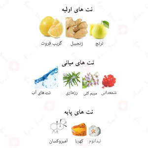 ادکلن فیلوس مسنجر الحمبرا Alhambra PHILOS MESSENGER