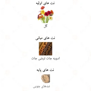 ادکلن لاو استرینگز فور هر الحمبرا Alhambra Love Strings For Her