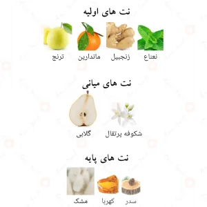 ادکلن لطافه آرت آف یونیورس Lattafa Art Of Universe