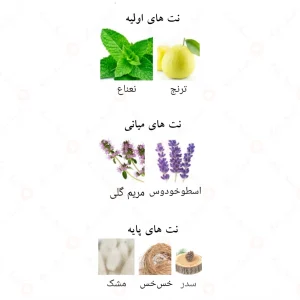 ادکلن لطافه پراید مدل ثروة سیلور Lattafa Pride Tharwah Silver