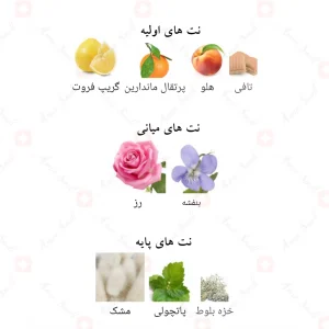 ادکلن ماسک کالکتورس ادیشن الحمبرا ALHAMBRA Modern Musk The Collector’s Edition