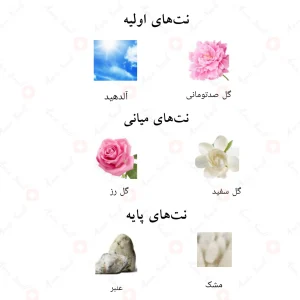 رایحهی ادکلن مشک امیری