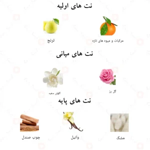 ادکلن میا دولسزا الحمبرا Alhambra Mia Dolcezza
