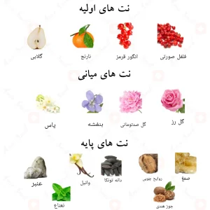 ادکلن نویت د فولی الحمبرا Alhambra Nuit De Folie