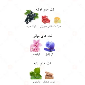 ادکلن وری ولوت ارکید الحمبرا Alhambra Very Velvet Orchid