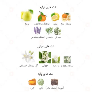 ادکلن پاسیفیک بلو الحمبرا Alhambra Pacific Blue