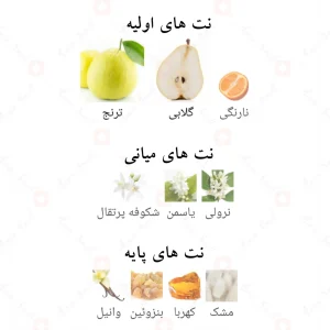 ادکلن پینک اکلیپس الحمبرا Pink Eclipse Alhambra